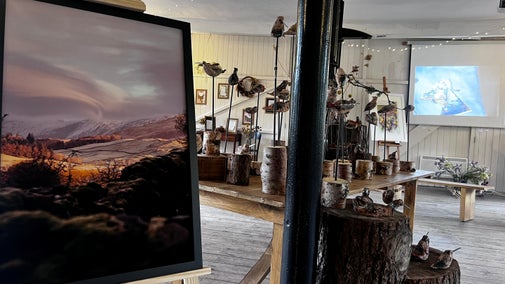To the right of the image is a large canvas with a photo of a landscape at sunset, in the background are other art installations.